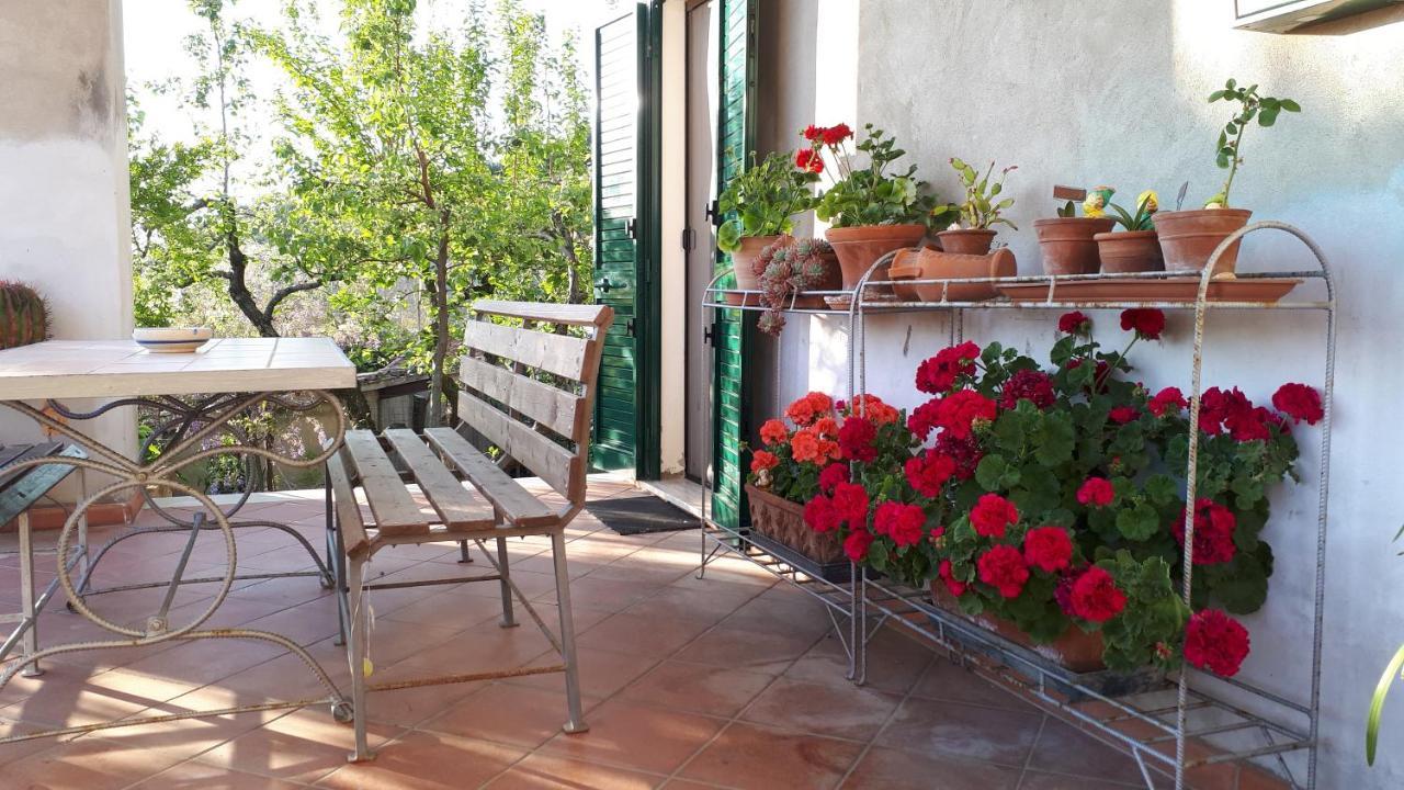 Apartamento Casa Di Giulia Santa Luce Exterior foto